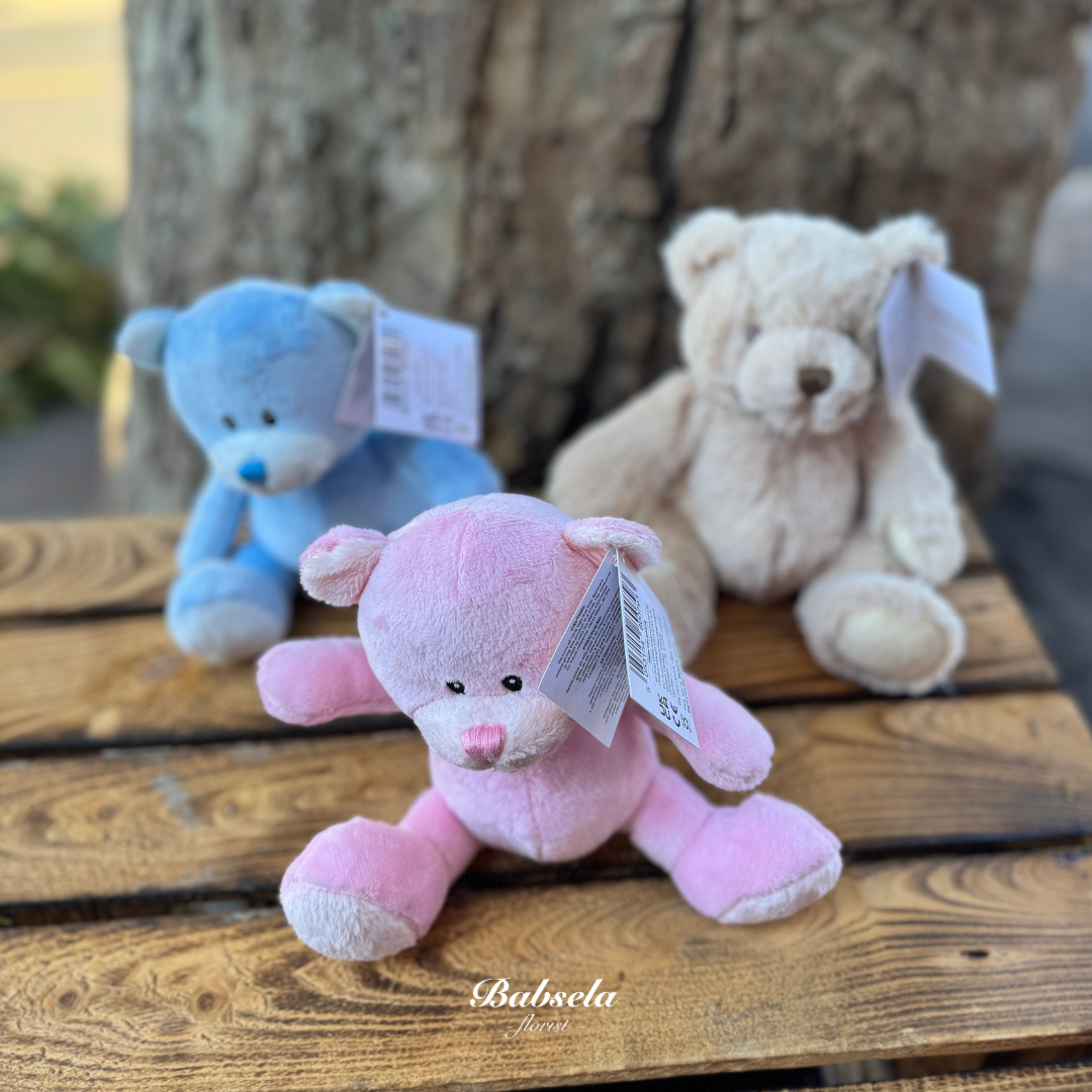 Pastel Companions