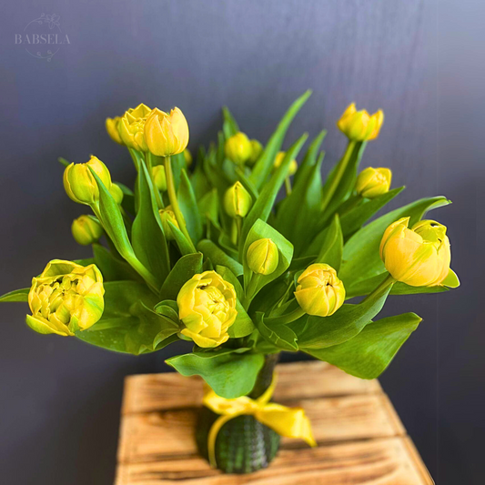 Tulips in a Vase