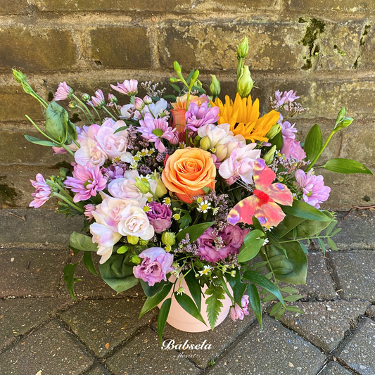 The Butterfly Waltz Pot Arrangement